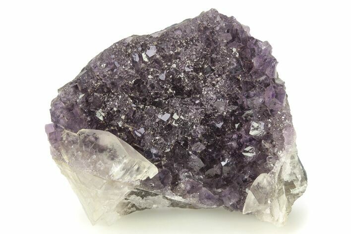 Sparkling Purple Amethyst Crystal Cluster - Uruguay #276233